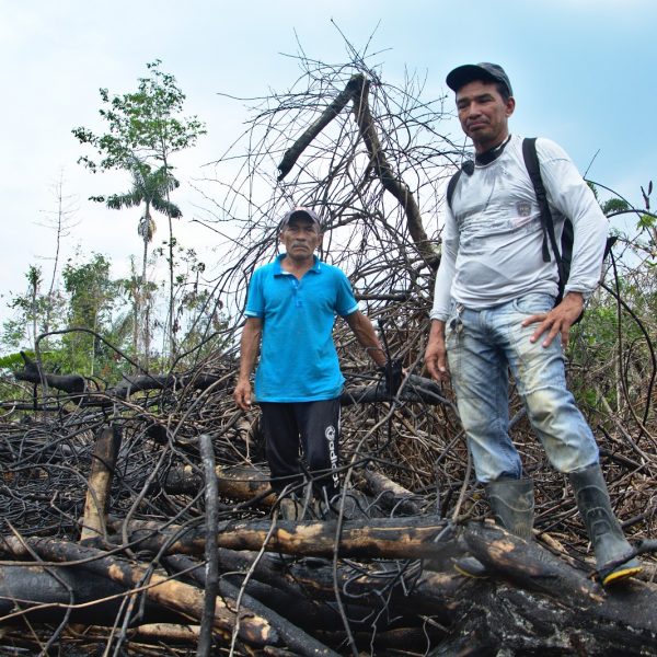 O ganha-ganha por trás das queimadas da Amazônia