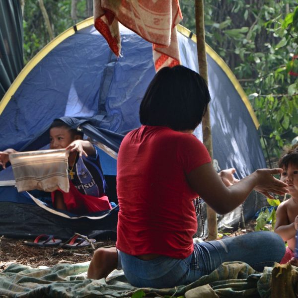 Conheça a Retomada Guarani Mbya em Maquiné-RS