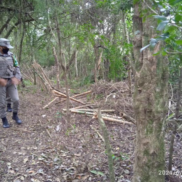 Pindó Poty: TRF-4 suspende reintegração e invasores voltam a agir (08-06-2021)