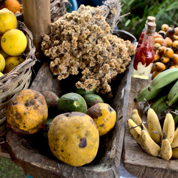 Feira da Biodiversidade e Economia solidária de Maquiné – Edição de Inverno (10-09-2022)